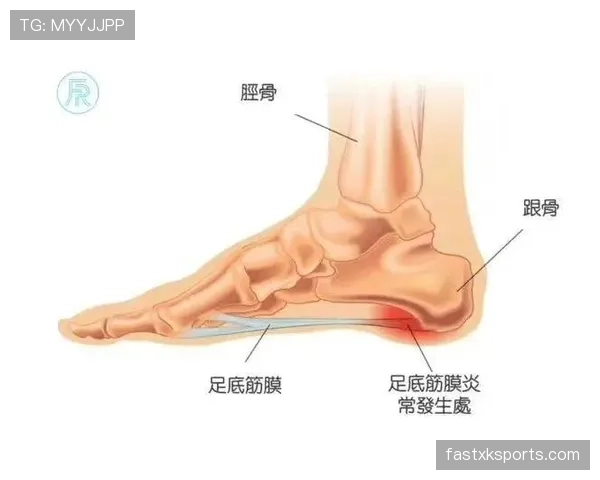 解释篮球中球员双脚着地空间的规则判定与适用范围